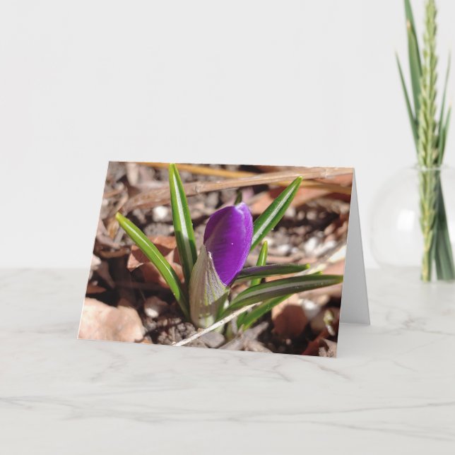 Happy Spring! Purple Crocus Card (Front)