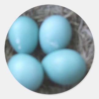 Happy Spring Robins Blue Eggs in Nest, Bird Eggs Classic Round Sticker