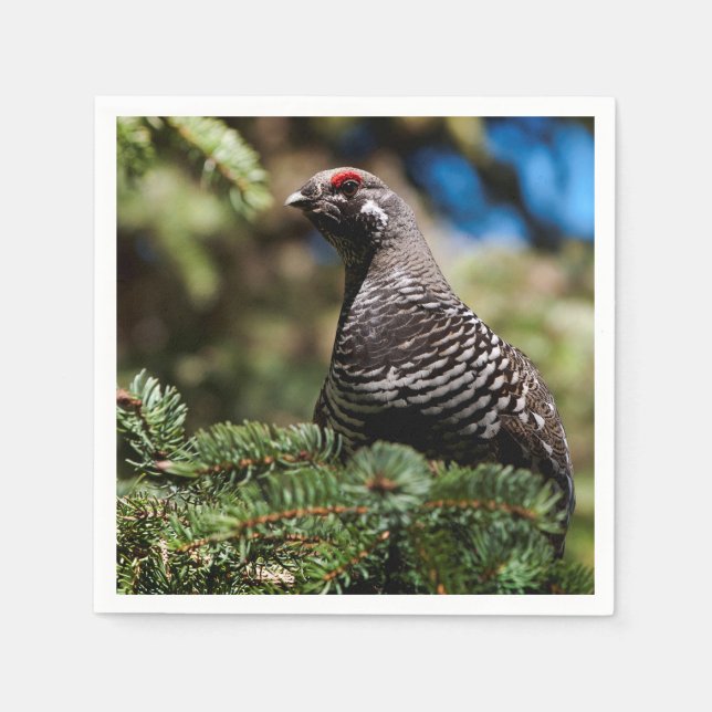 Happy Spruce Grouse Napkin (Front)