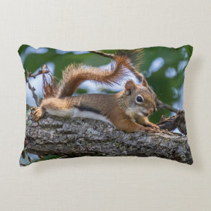 Happy Squirrel Decorative Cushion