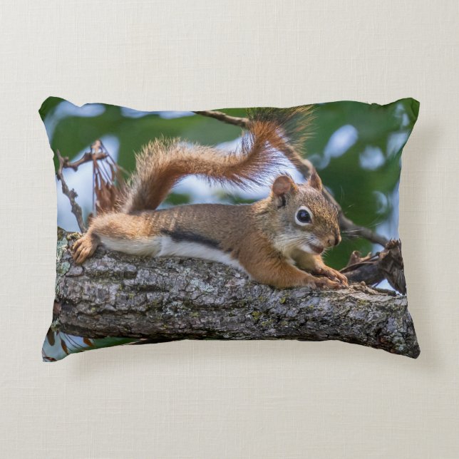 Happy Squirrel Decorative Cushion (Front)
