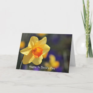 Happy St David’s Day Spring Daffodil Card