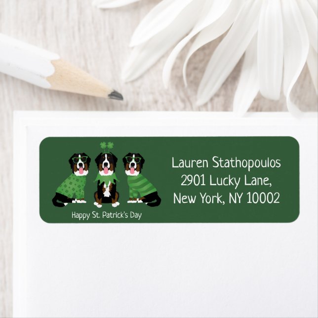 Happy St Patricks Day Bernese Mountain Dogs (Insitu)