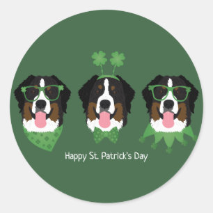 Happy St Patricks Day Bernese Mountain Dogs Classic Round Sticker
