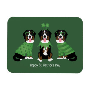 Happy St Patricks Day Bernese Mountain Dogs Magnet