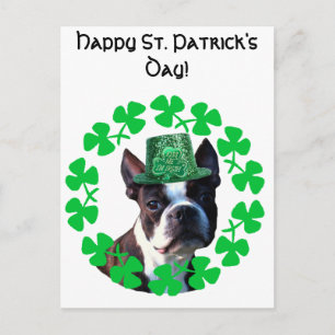 Happy St. Patricks Day Boston Terrier Postcard