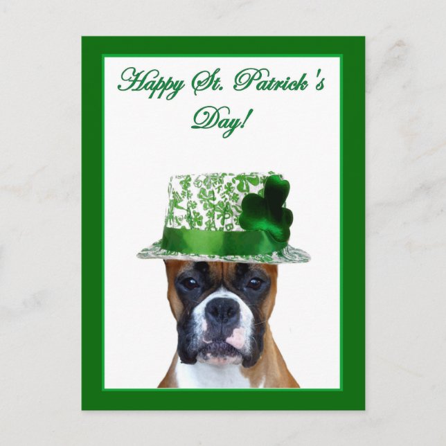 Happy St. Patrick's Day Boxer postcard (Front)