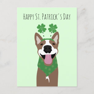 Happy St Patricks Day Brown Dog Green Postcard