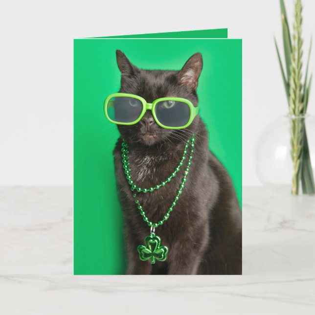Happy St Patricks Day Cat in Green Humor  Holiday Card (Front)
