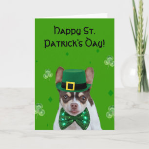 Happy St. Patrick's Day Chihuahua greeting card