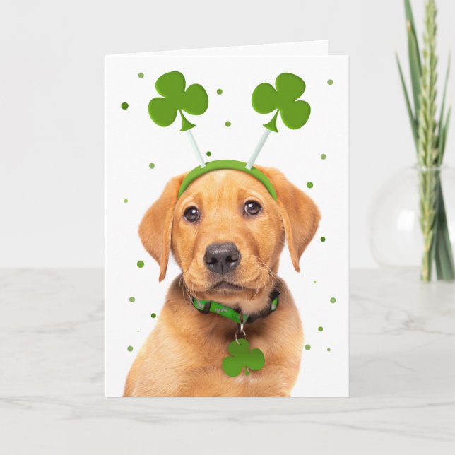 Happy St Patricks Day For Anyone Dog in Headband Holiday Card (Front)