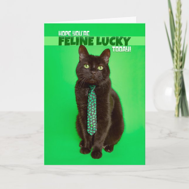 Happy St Patricks Day Funny Cat in Shamrock Holiday Card (Front)
