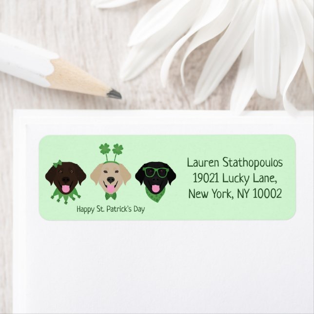 Happy St Patricks Day Labrador Retriever Dogs (Insitu)