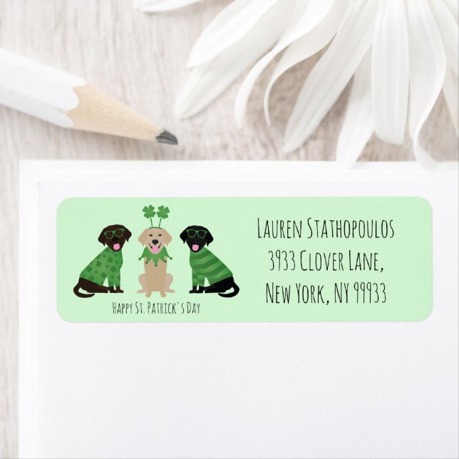 Happy St Patricks Day Labrador Retriever Dogs (Insitu)