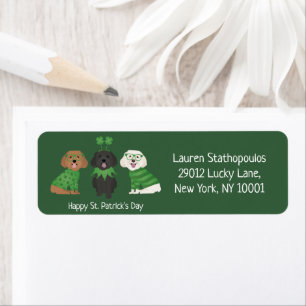 Happy St Patricks Day Maltipoo Dogs