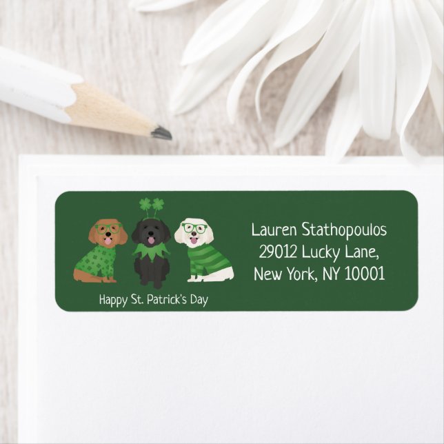 Happy St Patricks Day Maltipoo Dogs (Insitu)