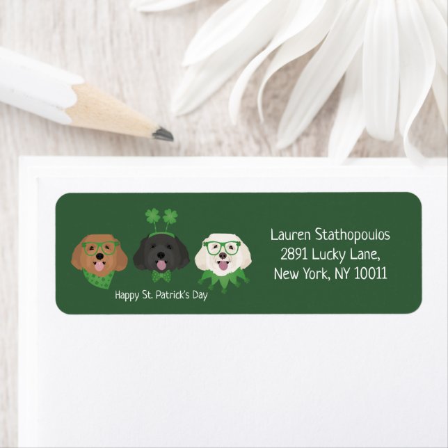 Happy St Patricks Day Maltipoo Dogs (Insitu)