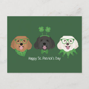 Happy St Patricks Day Maltipoo Dogs Postcard
