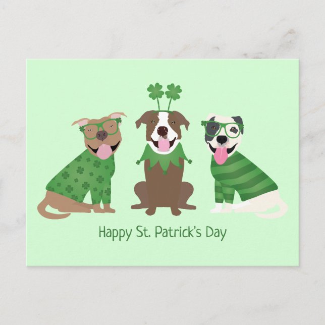 Happy St Patricks Day Pit Bull Dogs Postcard (Front)
