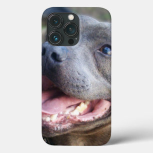Happy Staffordshire Bull Terrier,   iPhone 13 Pro Case