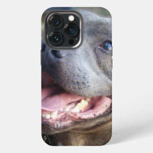 Happy Staffordshire Bull Terrier, iPhone 13 Pro Case