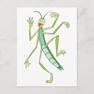 Happy Stick Insect Postcard