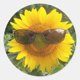 Happy Sunflower with sunglasses sticker