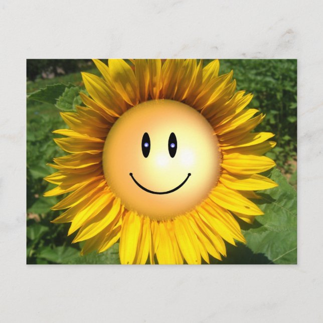 Happy Sunshine Flower Postcard (Front)