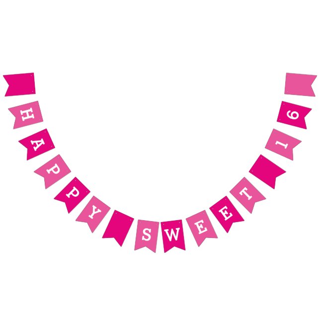 Happy Sweet 16th Birthday Party Bunting Banner (All)