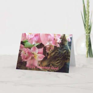 Happy Sweetest Day! Greeting Card
