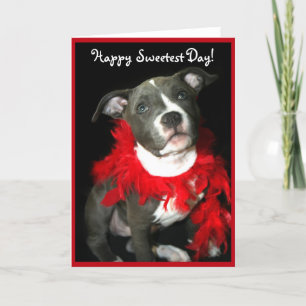 Happy Sweetest Day Pitbull puppy greeting card