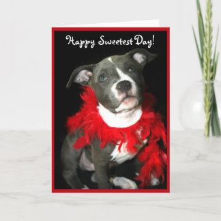Happy Sweetest Day Pitbull puppy greeting card