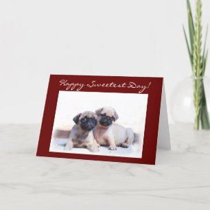 Happy Sweetest Day Pug greeting card