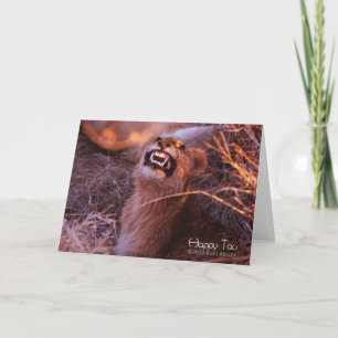 Happy Tau Card
