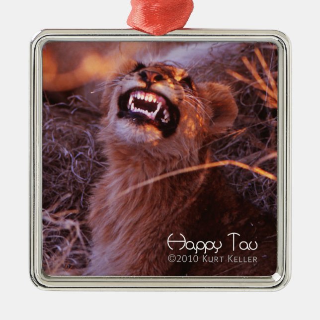 Happy Tau Metal Tree Decoration (Front)