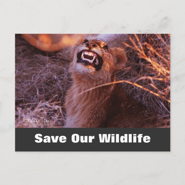 Happy Tau, Save Our Wildlife Postcard (Front)