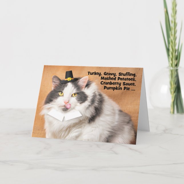 Happy Thankgiving Funny Fat Cat in Pilgrim Hat Holiday Card (Front)