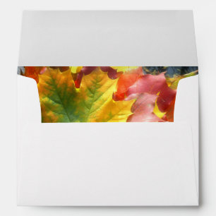 Happy Thanksgiving 7 Envelope