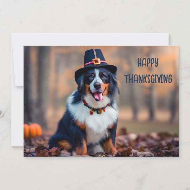 Happy Thanksgiving Bernese Mountain Dog Pilgrim Holiday Card (Front)