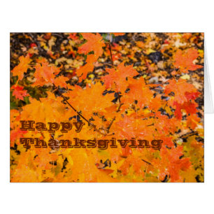 Happy Thanksgiving - Cards - Holiday