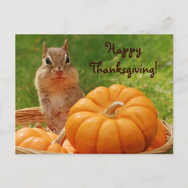 Happy Thanksgiving Cute Chipmunk Postcard (Front)