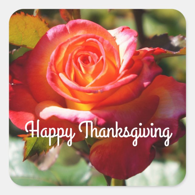 Happy Thanksgiving Dream Come True Rose #2 Sticker (Front)