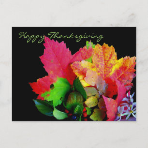 Happy Thanksgiving Foliage Postcards