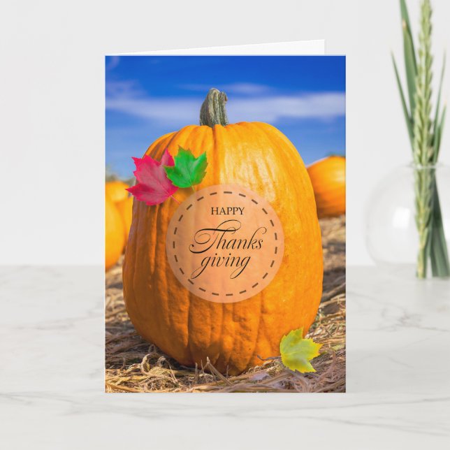 Happy Thanksgiving For Anyone Pumpkin Patch  Holiday Card (Front)