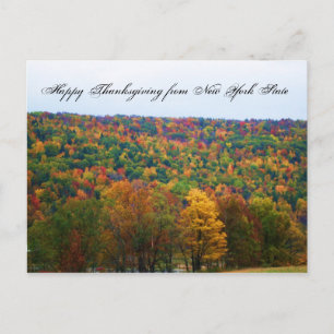 HAPPY THANKSGIVING FROM NEW YORK STATE postcard