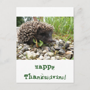 Happy Thanksgiving! Holiday Postcard