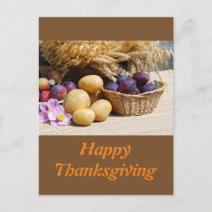 Happy Thanksgiving Holiday Postcard