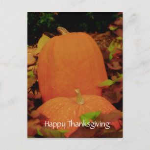 Happy Thanksgiving Holiday Postcard