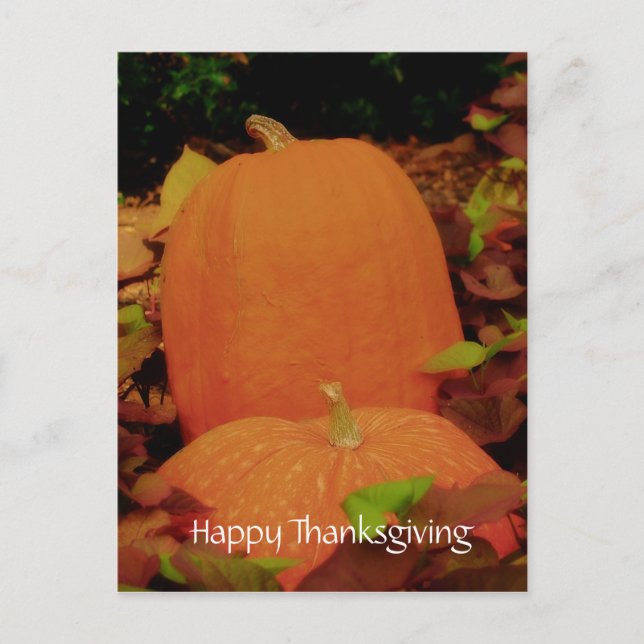 Happy Thanksgiving Holiday Postcard (Front)