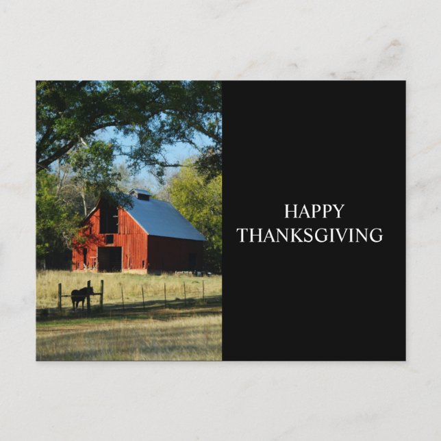 Happy Thanksgiving - Red Barn and Horse Holiday Postcard (Front)